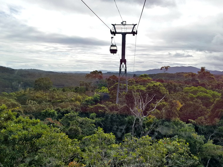 Kuranda Skyrail - Things to see and do in Cairns