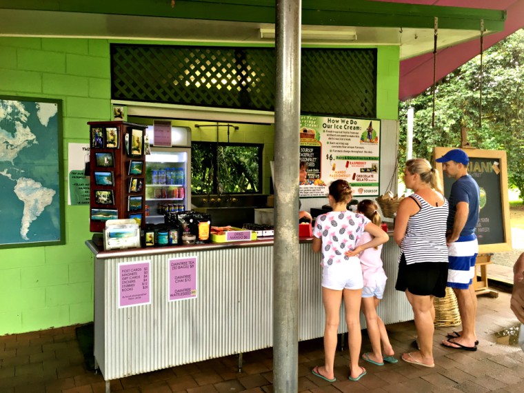 Daintree Ice cream - Things to See and Do in Cairns