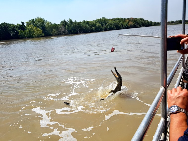 Adelaide River Jumping Croc Cruise
