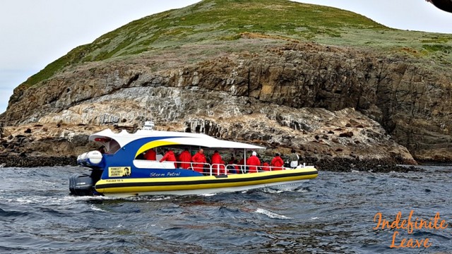 Bruny Island Wilderness Cruise 