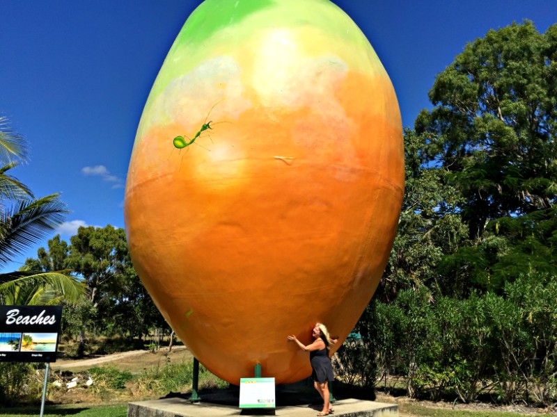 The Big Mango next to the Bowen Visitor Information Centre just 13kms from the Glen Erin Farmstay