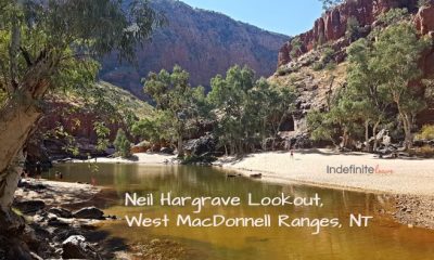 Neil Hargrave Lookout Free Camp