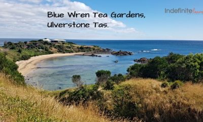 Blue Wren Tea Gardens Ulverstone