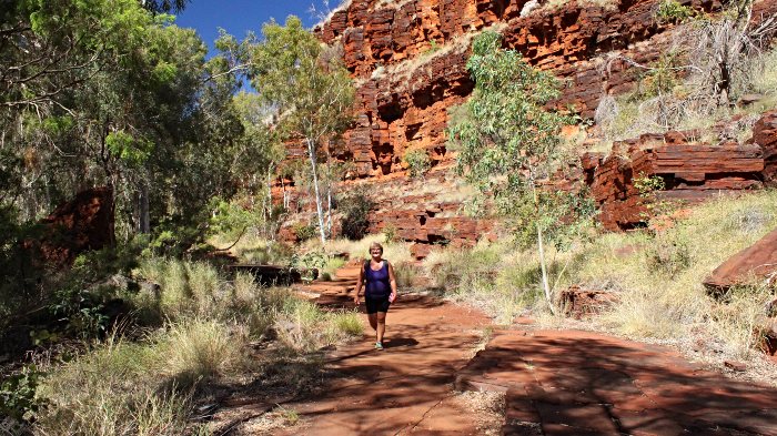 Dales Campground is within walking distance of Dales Gorge