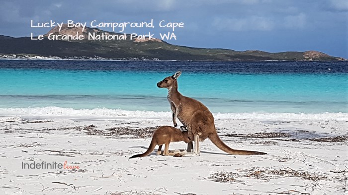 Lucky Bay Campground