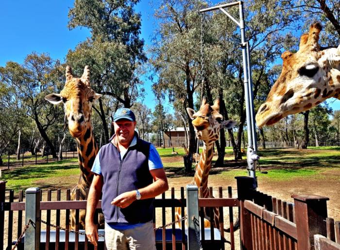 Feeding Giraffes at Dubbo Zoo