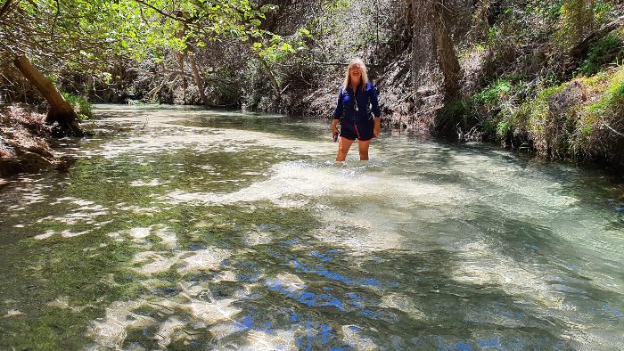 Adele wading through the waters of Eli Creek