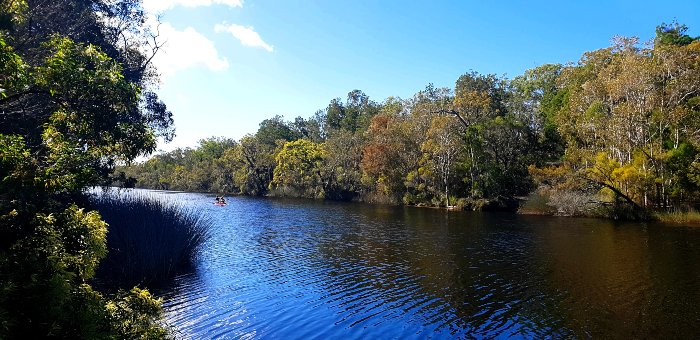 Kayak the Noosa Everglades
