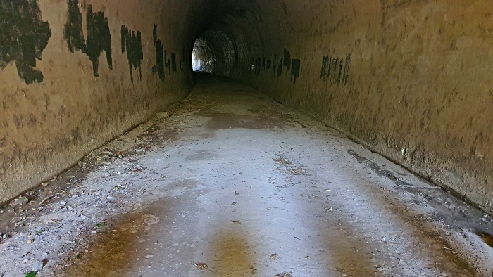The northern end of the Dularcha Railway Tunnel