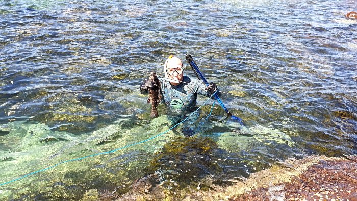 Spearfishing at Haycock Point