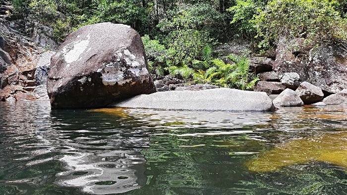 Things to do in Mackay - Finch Hatton Gorge is a must