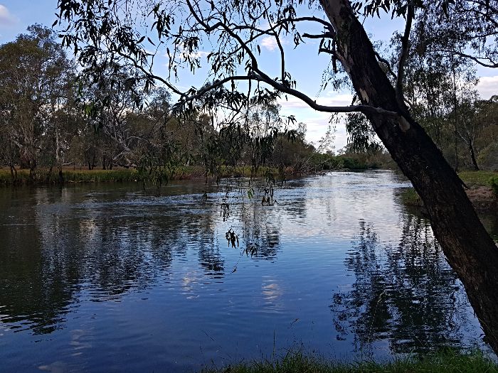 Doolans Bend right on the Murray River is so quiet and serene