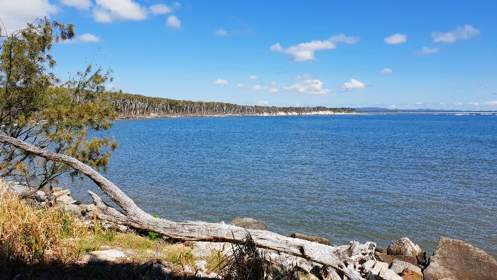 Overlooking the bay from the Woody Head Camping Ground
