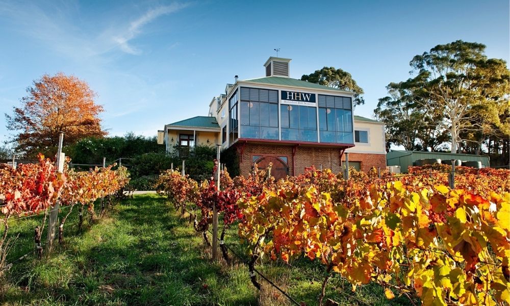 Adelaide-Hills-Wineries-and-Hahndorf-3