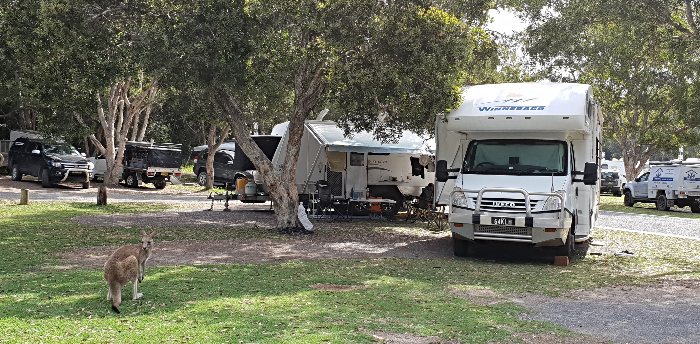 Diamond Head Campground - Camping NSW North Coast