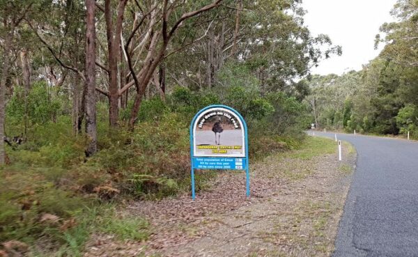 Illaroo Campground, Yuraygir National Park, NSW - Indefinite Leave