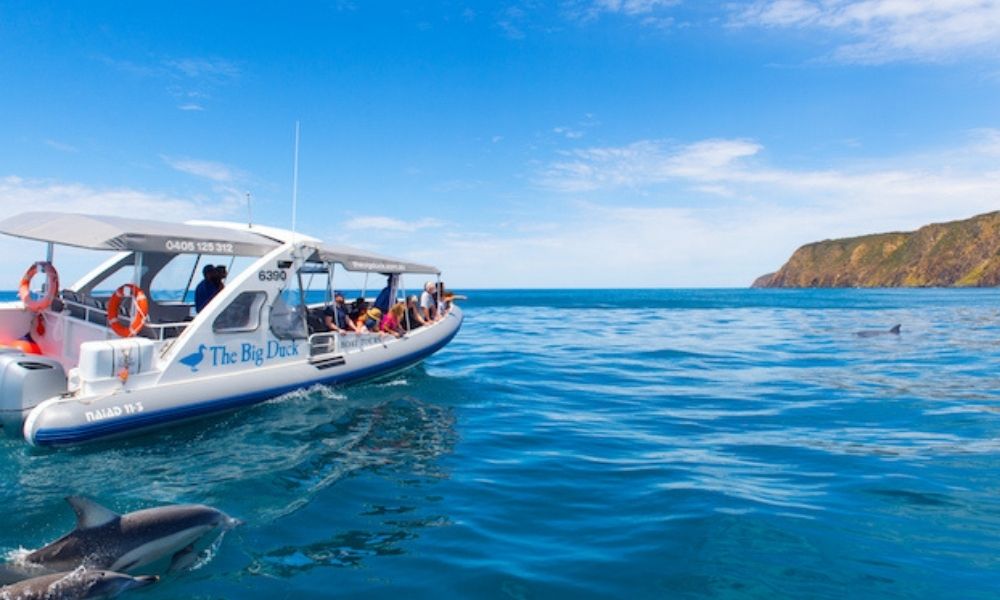 Victor-Harbor-Southern-Ocean-Adventure-Cruise