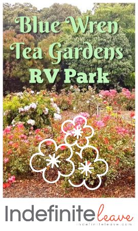 Pin - Blue Wren Tea Gardens