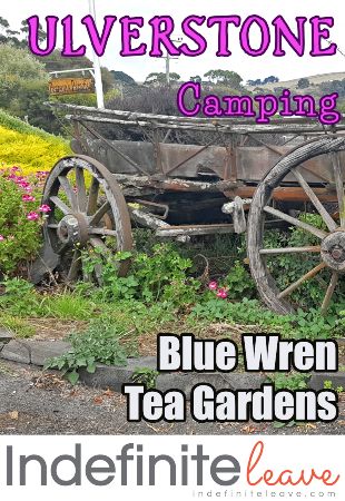 Blue-Wren-Tea-Rooms-resized-BeFunky-project