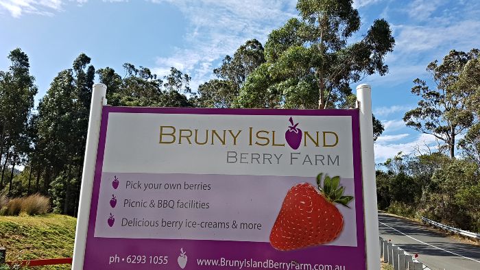 Bruny-Island-Berry-Farm