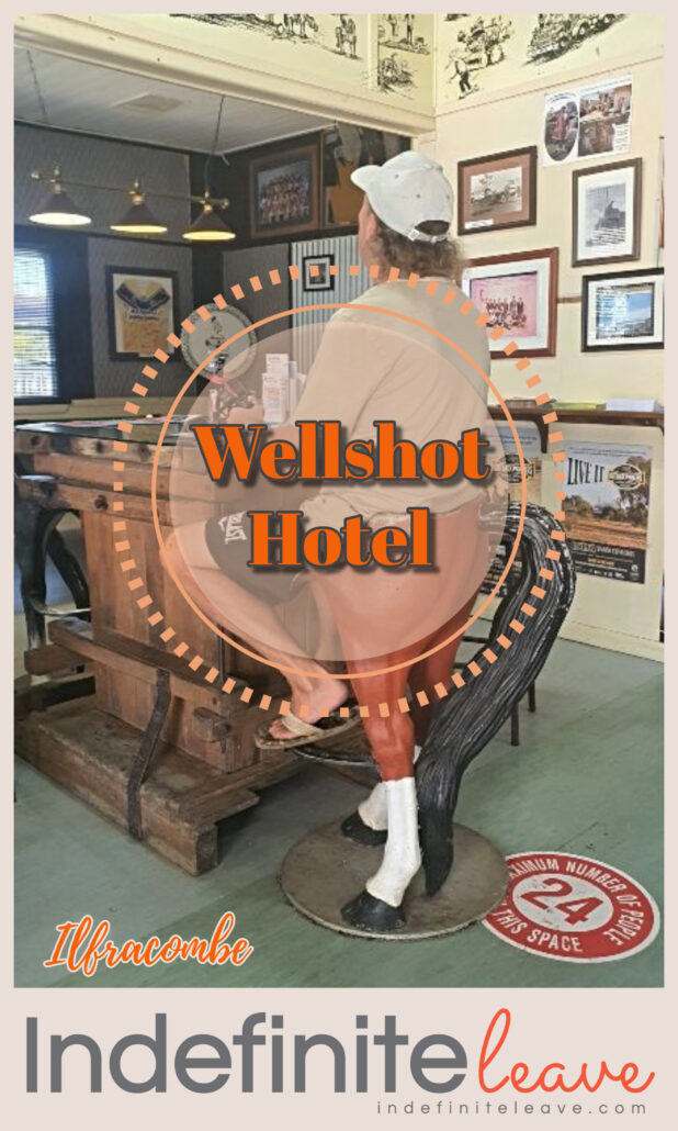 Pin - Wellshot Hotel
