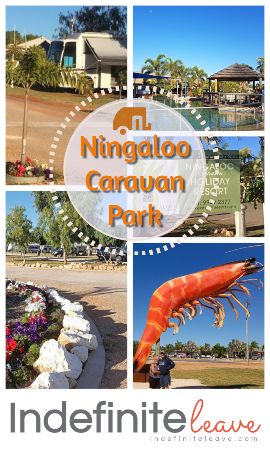 Pin - Ningaloo Caravan Park