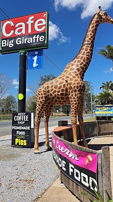 Big-Giraffe-Cafe-Bororen-2021