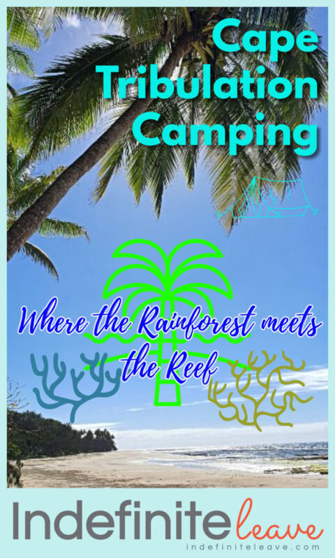 Cape-Tribulation-Camping-Rainforest-Reef-BeFunky-project