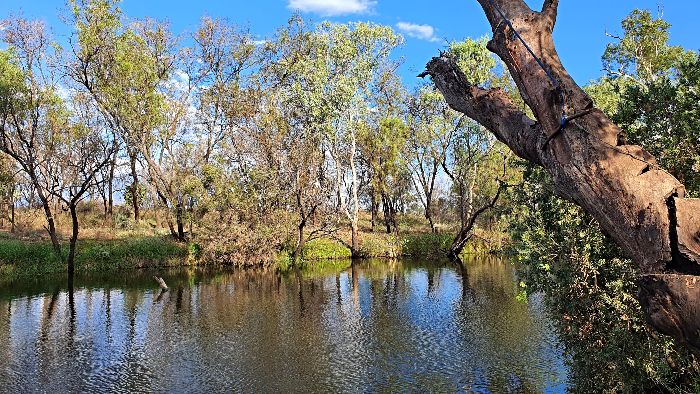 Bowenville Reserve alongside Oakey Creek