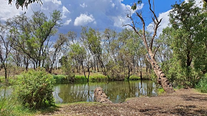 Bowenville Reserve camping area by Oakey Creek